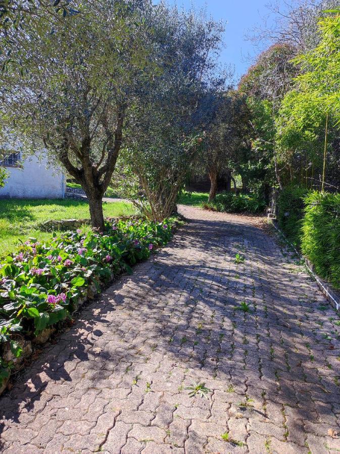 Villa Olivaie St Ange ลาโกด ภายนอก รูปภาพ
